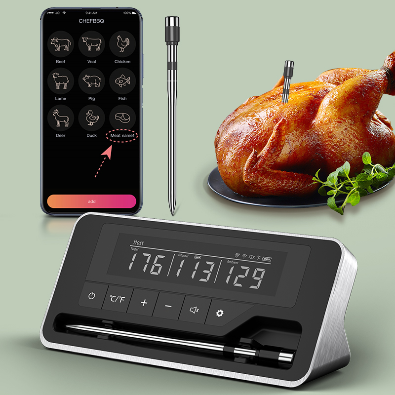 Termometro per carne Sonda wir - Digital Thermometer Probe recensione e prezzo
