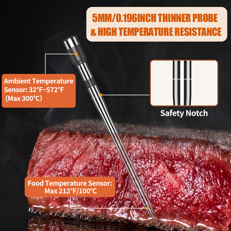 Termometro per carne Sonda wir - Digital Thermometer Probe recensione e prezzo