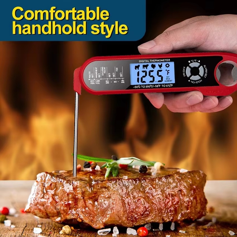 Termometro per carne a doppia  - Digital Thermometer Probe recensione e prezzo